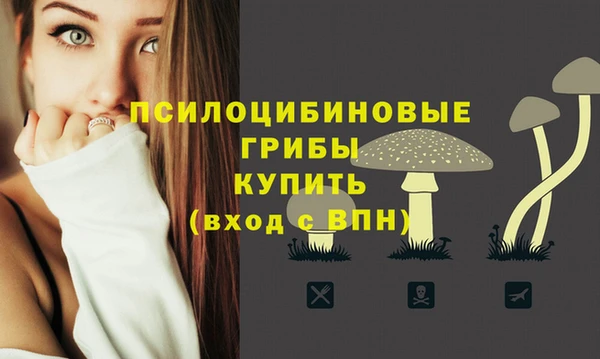 МДПВ Абинск