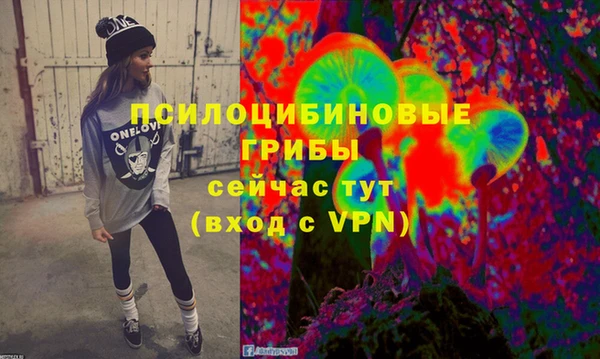 МДПВ Абинск