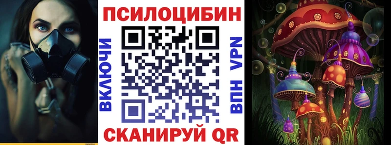 дарнет шоп  Кедровый  Псилоцибиновые грибы MAGIC MUSHROOMS 